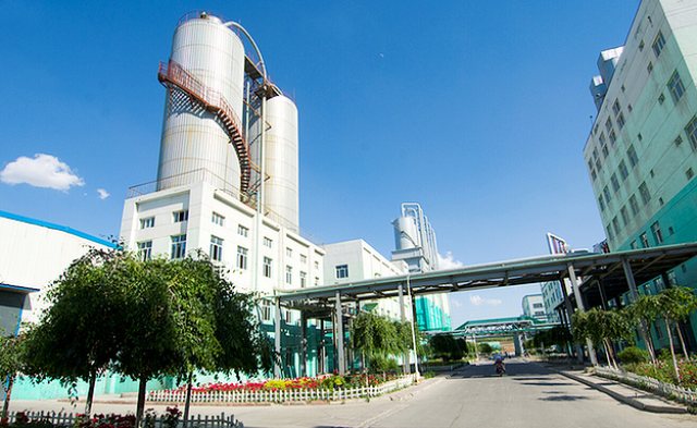 P . 新疆华泰重化工