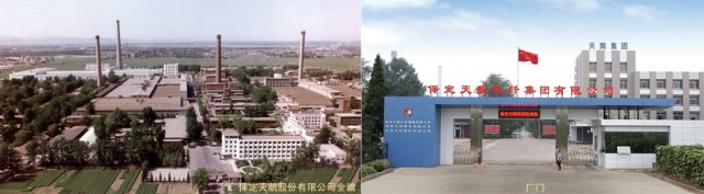 U . 河北保定天鹅股份