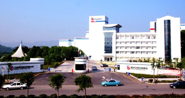 R . 湖北安琪酵母股份