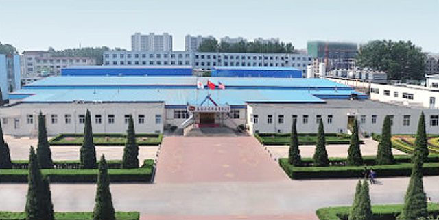 R . 山东禹城龙力