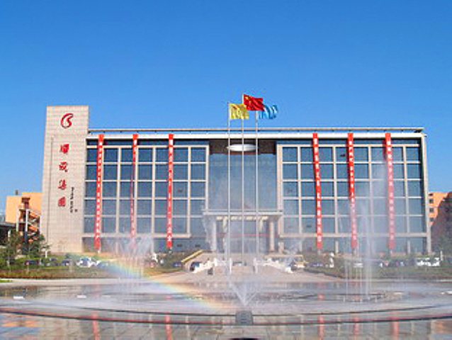 T . 河南顺成煤焦