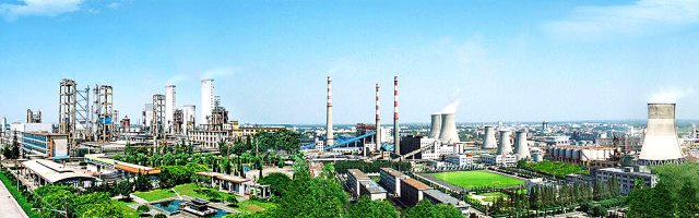 P . 山东阳煤恒通化工股份