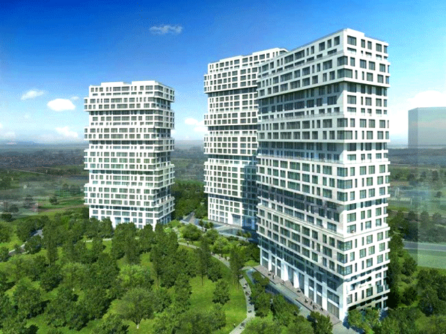 A . 上海中鹰黑森林