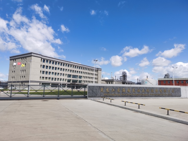 32 黑龙江省大庆市大同区林源镇海国龙油550项目