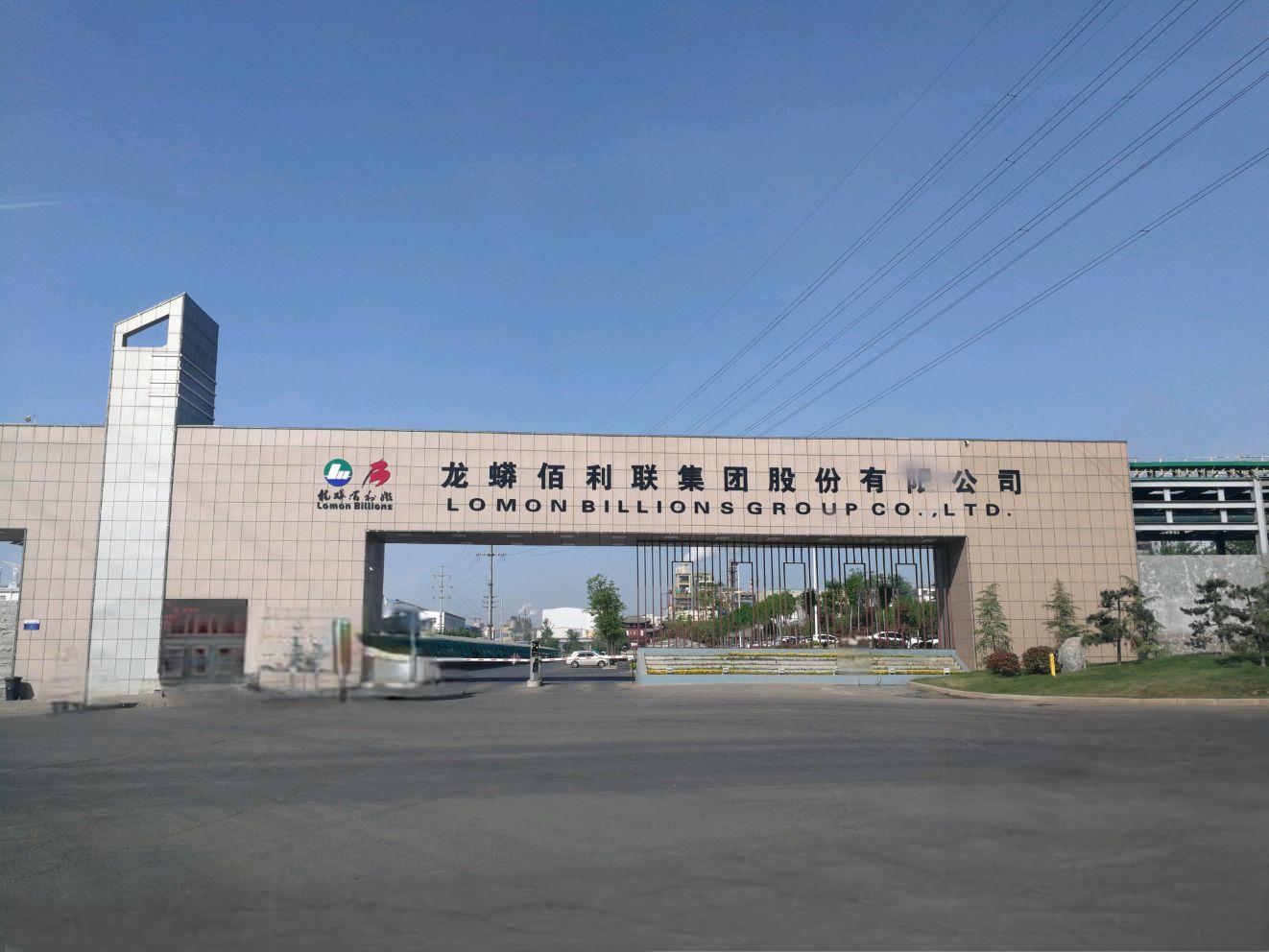 P . 河南龙蟒佰利联