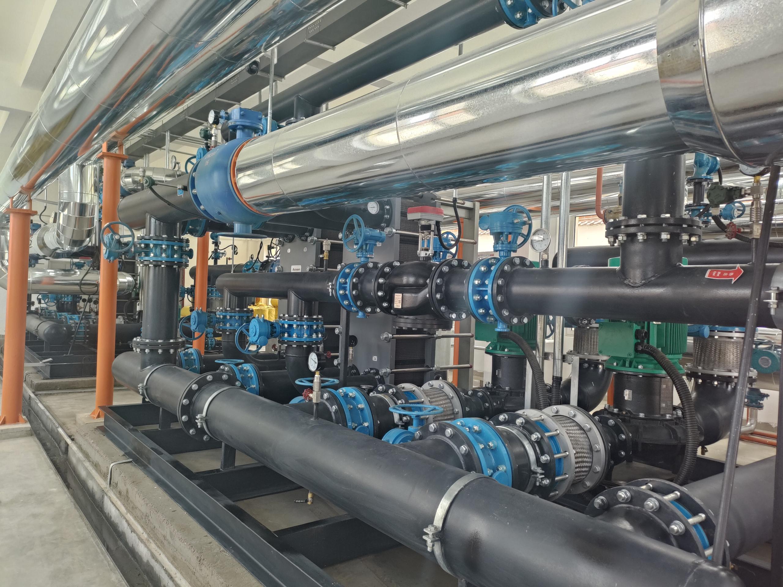 F . 山东温泉路学校-1