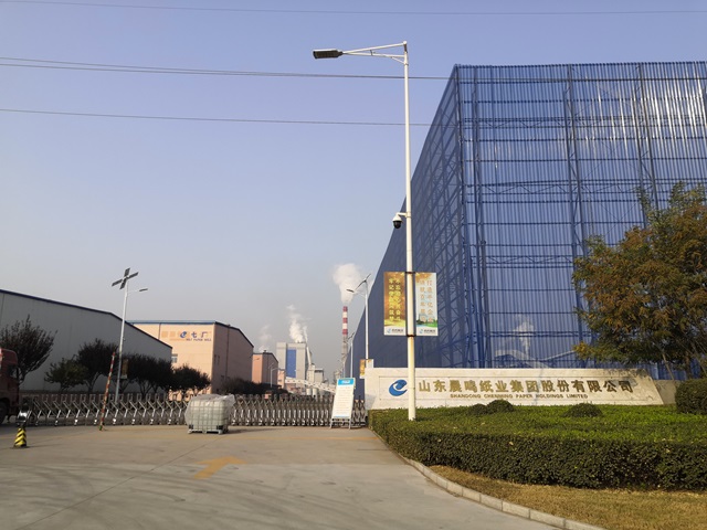U . 山东晨鸣纸业-1