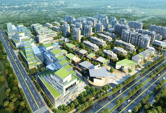 A . 上海万科时一区