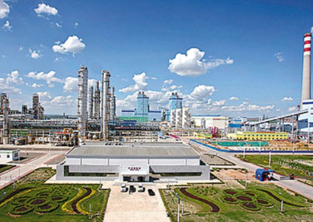 D . 福建东吴临港化工园区