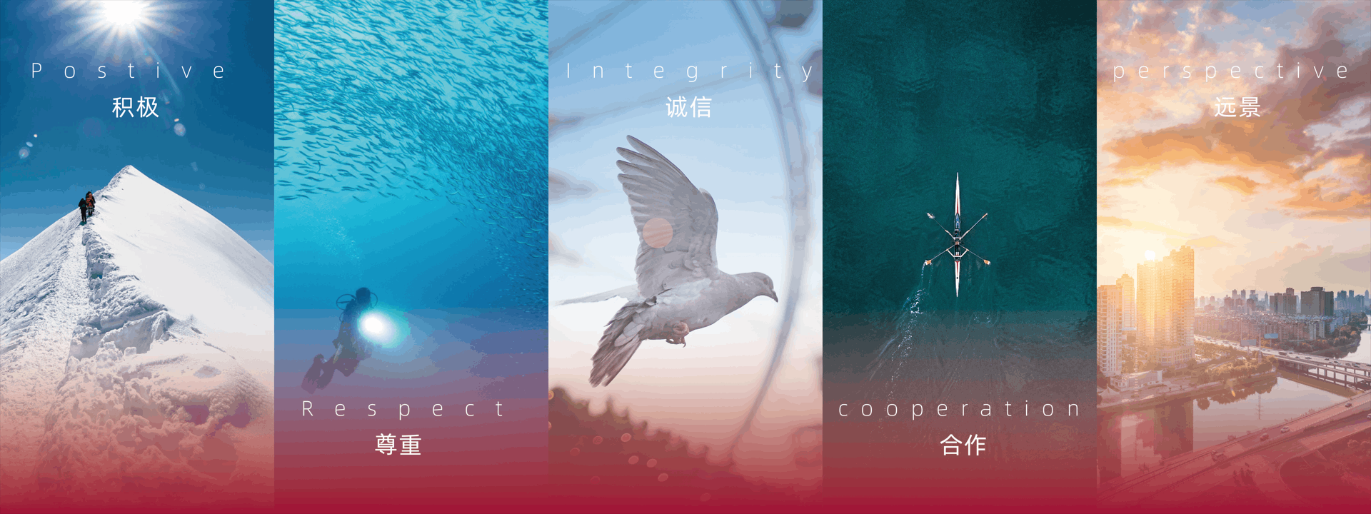 积极，尊重，诚信，合作，远景